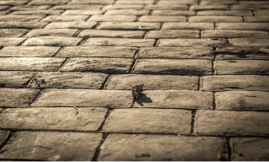 A picture of a stamped concrete pattern.